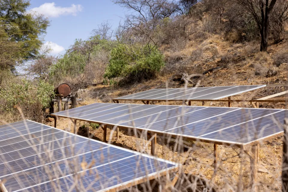 Placas solares en una finca